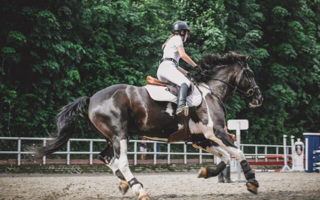 Kask do jazdy konnej, czyli o czym nie można zapomnieć